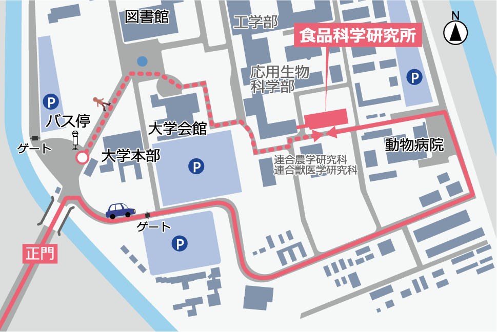 大学内地図